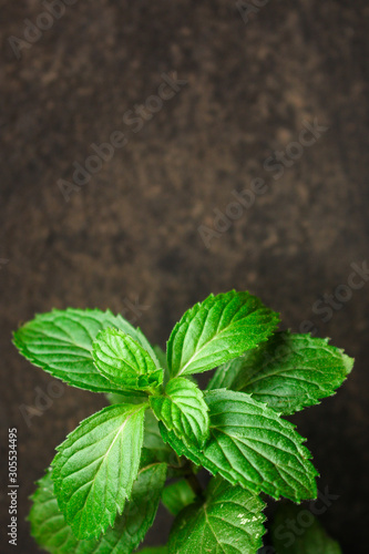 mint, fragrant green petals (food decoration) menu concept. food background. copy space. Top view