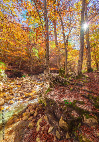 National Park of Abruzzo, Lazio and Molise (Italy) - The autumn with foliage in the italian mountain natural reserve, with little towns, wild animals like deer, Barrea Lake, Camosciara, Forca d'Acero