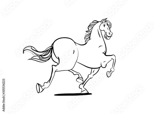 Poster for horse info graphic design.