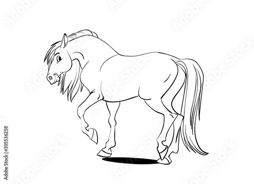 Poster for horse info graphic design.