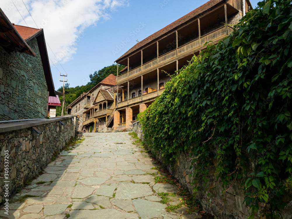 Dilijan village. Traditional old armenian architecture. Cozy town. Grape leaves on the wall.