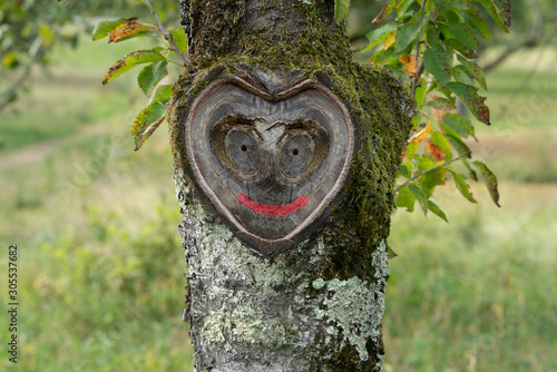 Beautiful natural heart with smiling face in old tree bark with moss and leaves in green nature