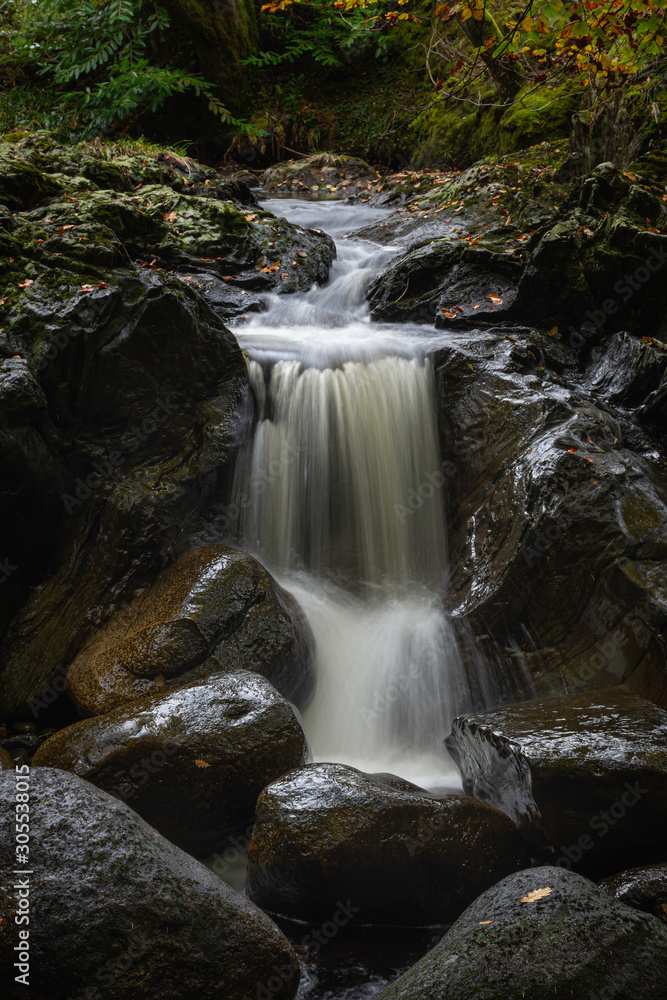 Fototapeta premium Waterfall in Scottish woodland.