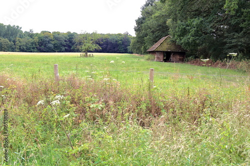 cottage ongreen meadow photo