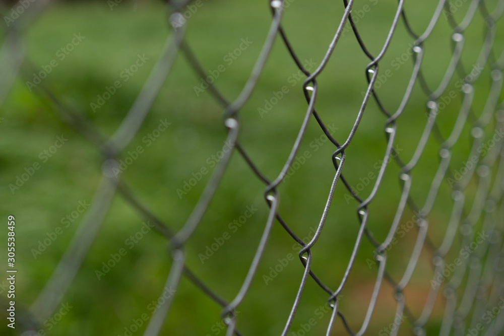 Fototapeta premium View through a fence, unsharp greenery in the background