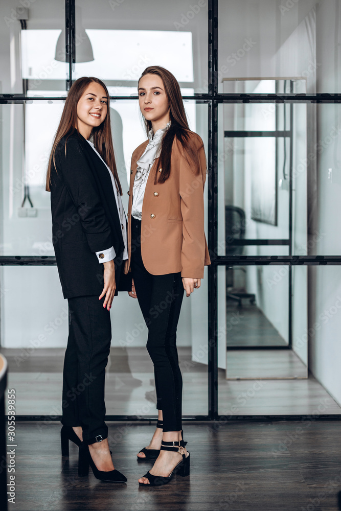 Two attractive business girls posing in work office Two attractive business girls posing in work office