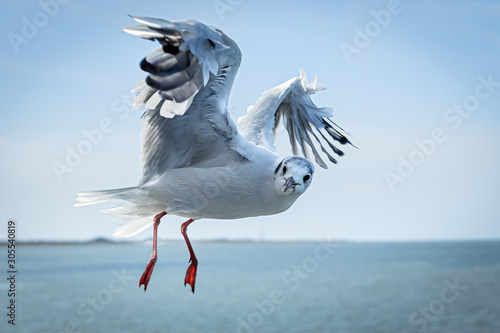 flyby