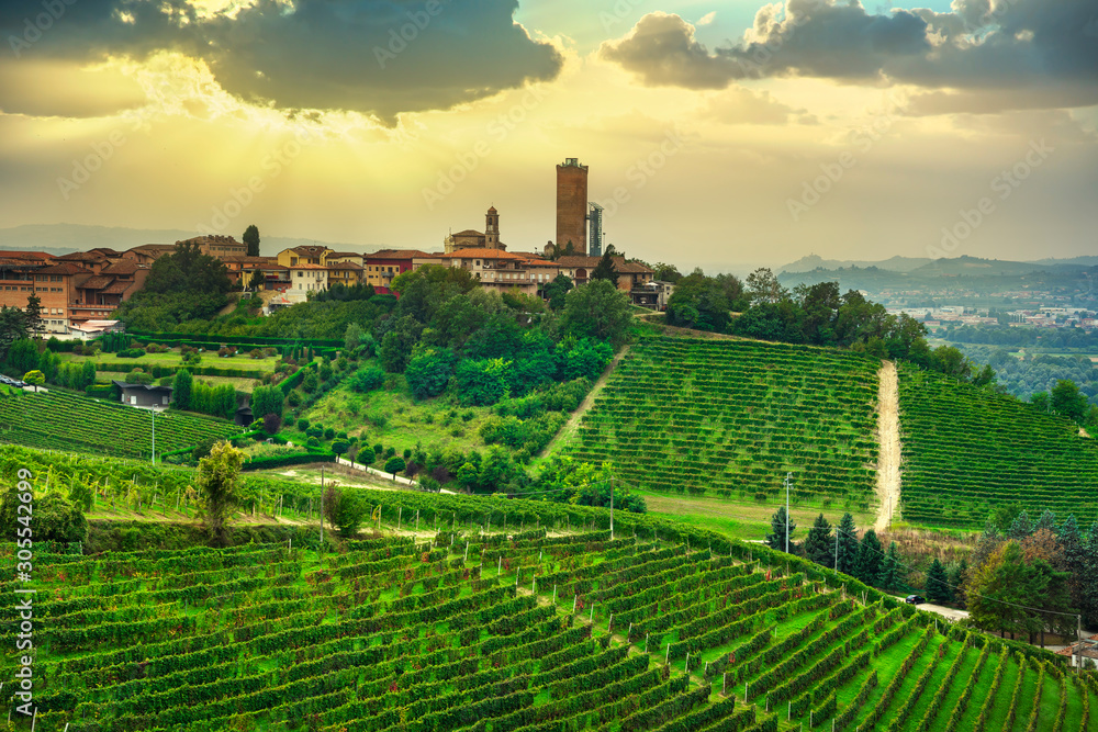 Langhe panorama, Barbaresco village and vineyards view at sunset, Piedmont, Italy Europe.