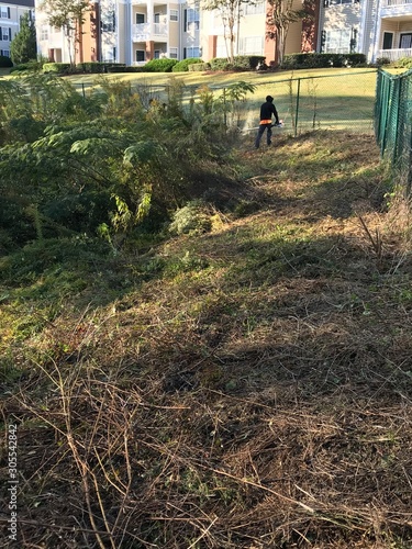 Wallpaper Mural Work Torontodigital.ca
