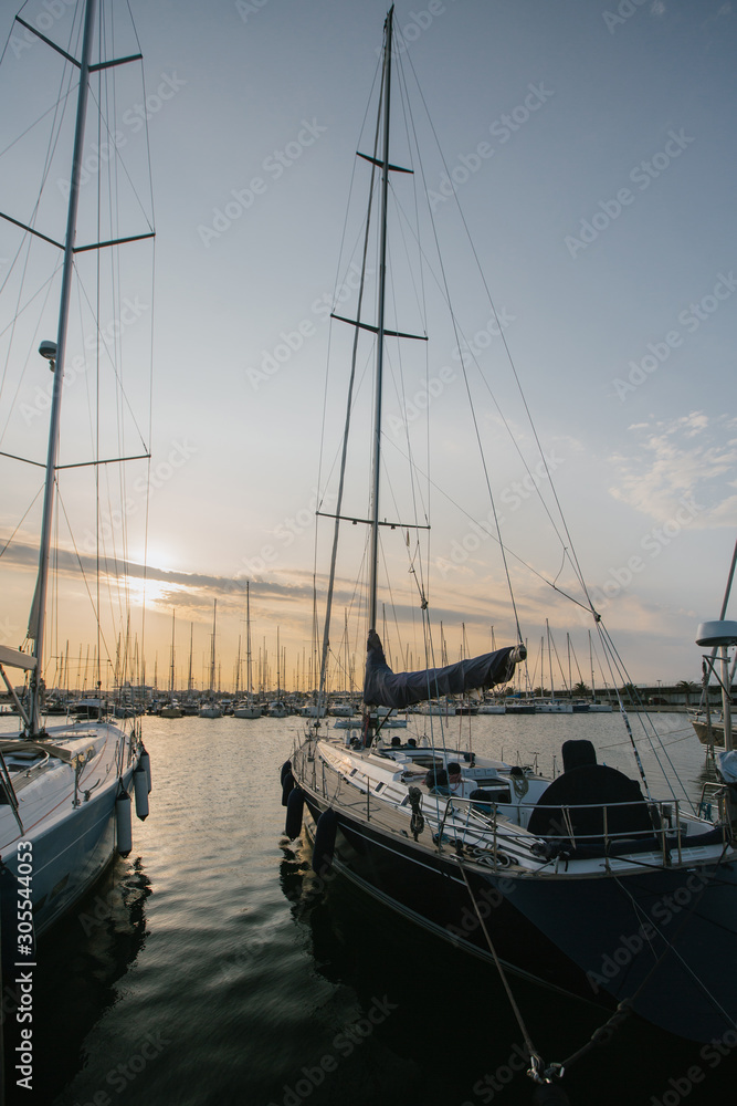 Exquisite yachts moored in calm water in bright day in Port Valencia, Spain