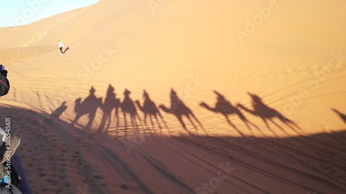Silhouettes On top of a dromedary in the Merzouga desert in the Erg Chebbi Dunes. Morocco
