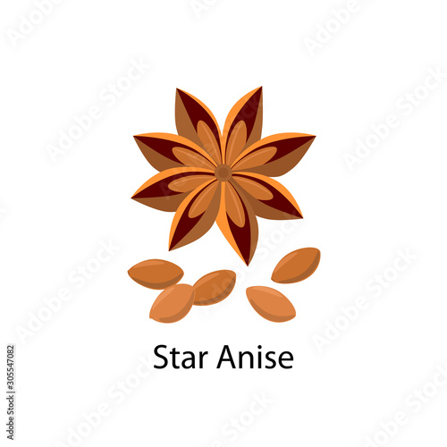 Star anise and anise seeds vector illustration in flat design isolated on white background.