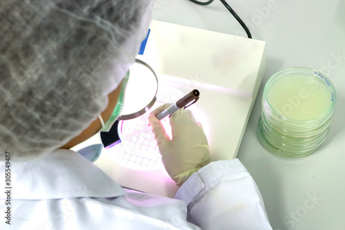 Microbial culture and biotechnology laboratory experiment concept, petri dish with growing cultures of microorganism ware plate tower next to microbiologist scientist counting of bacterial colonies 