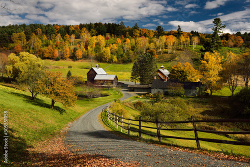 Bright Fall leaves around Sleepy Hollow Farm on Cloudland Road Woodstock Vermont photo