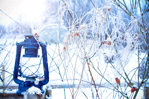 Winter Garden. A kerosene blue lamp stands in the snow surrounded by branches with hoarfrost. Snow and frost