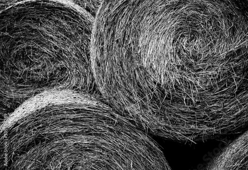 Circular bales of hay in a stack. Picture of haystacks in black and white colours. Atmospheric background of hay bales. Texture of hay. photo