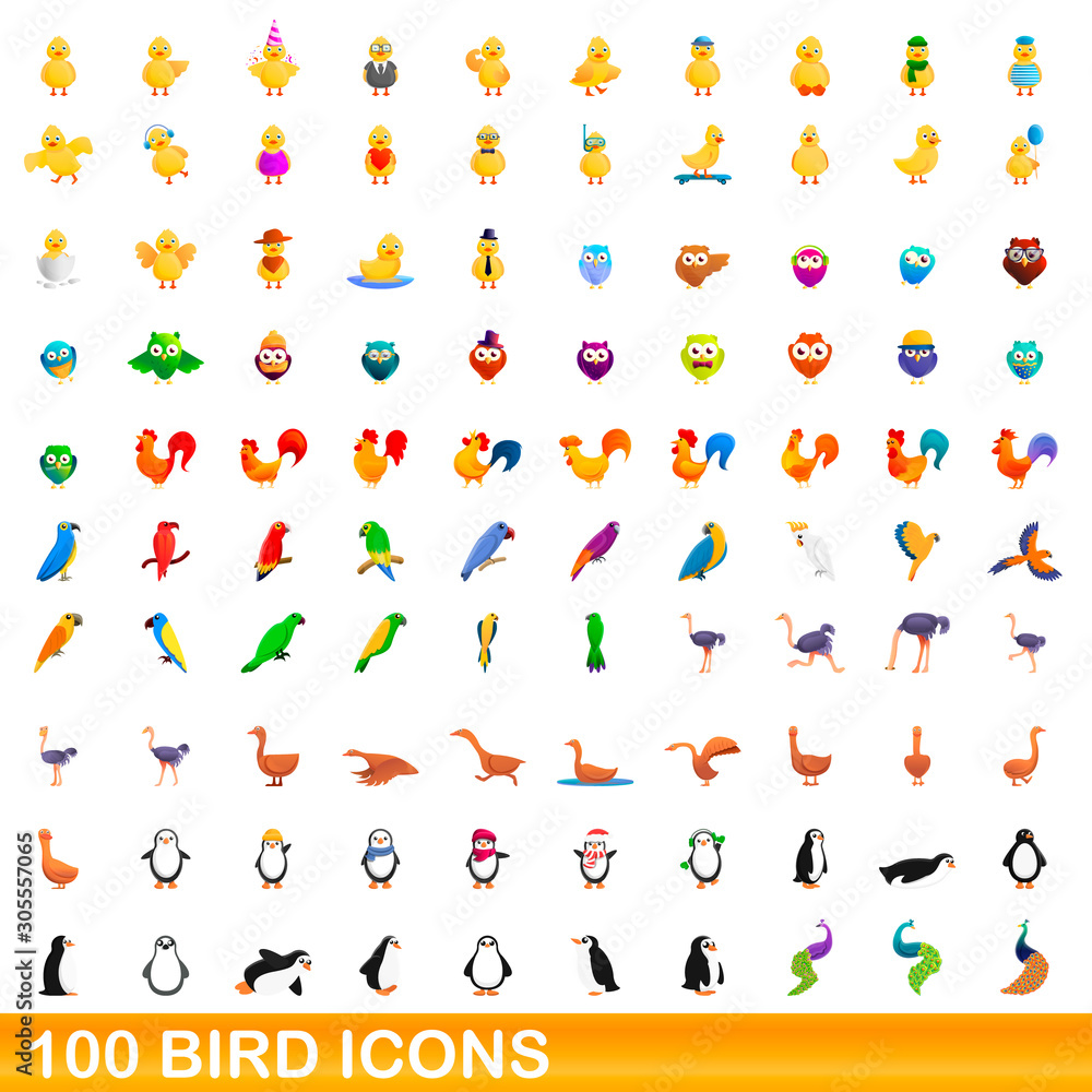 100 bird icons set. Cartoon illustration of 100 bird icons vector set isolated on white background