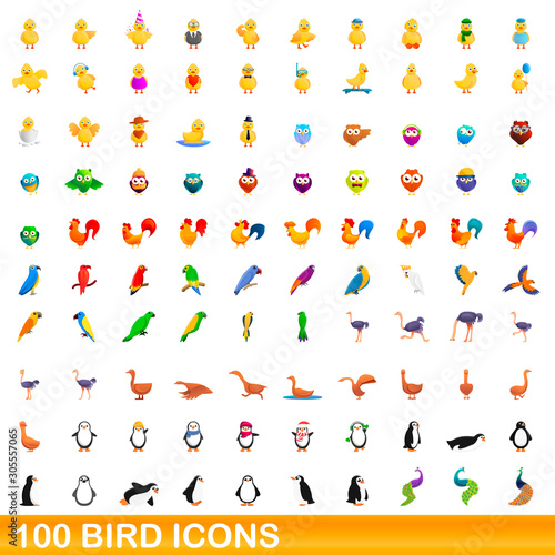 100 bird icons set. Cartoon illustration of 100 bird icons vector set isolated on white background