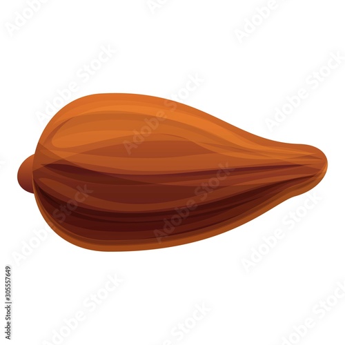 Brown cocoa fruit icon. Cartoon of brown cocoa fruit vector icon for web design isolated on white background