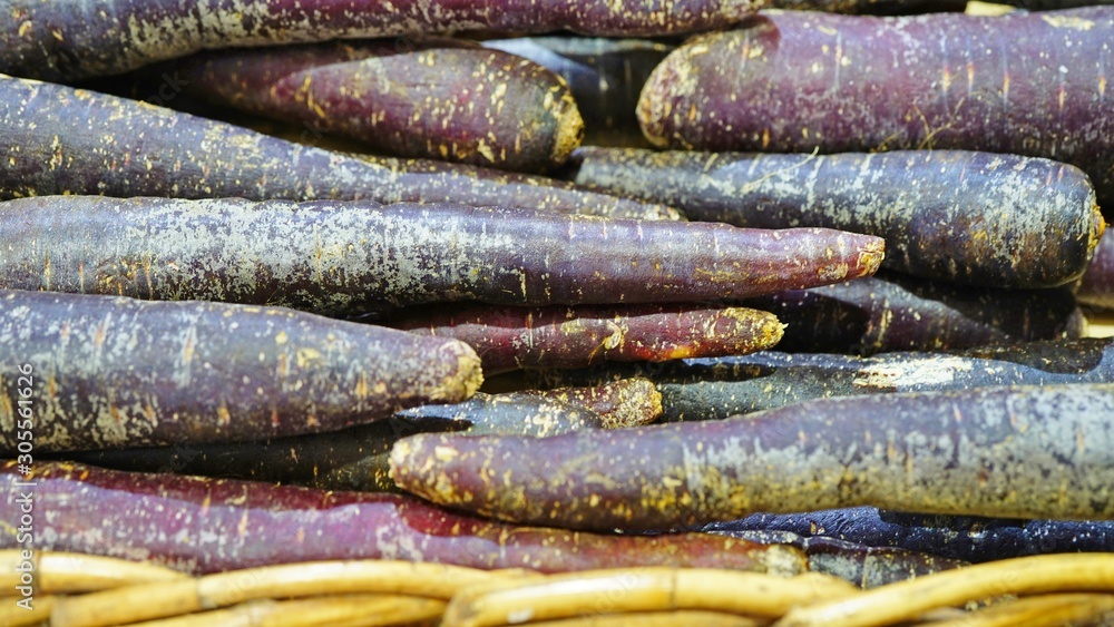 Colorful purple heirloom carrots at a farmers market