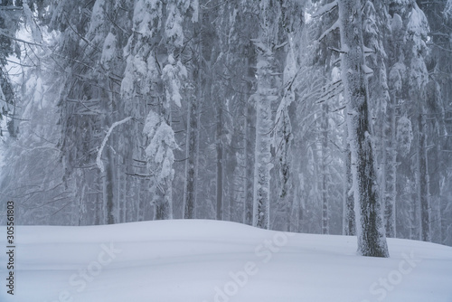 Picturesque winter landscape in the Carpathian Forest