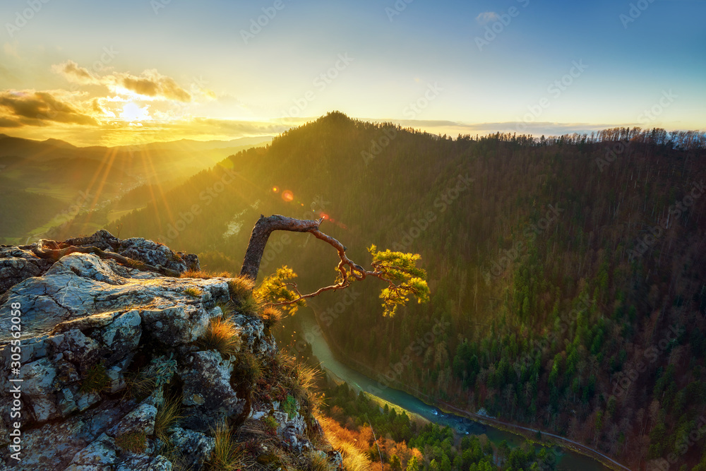Piękny wschód słońca na wzgórzu Sokolica w polskich górach <span>plik: #305562058 | autor: Piotr Krzeslak</span>