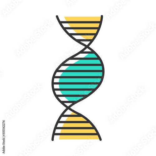 Right-handed DNA helix color icon. B-DNA. Deoxyribonucleic, nucleic acid structure. Spiral strand. Chromosome. Molecular biology. Genetic code. Genome. Genetics. Medicine. Isolated vector illustration