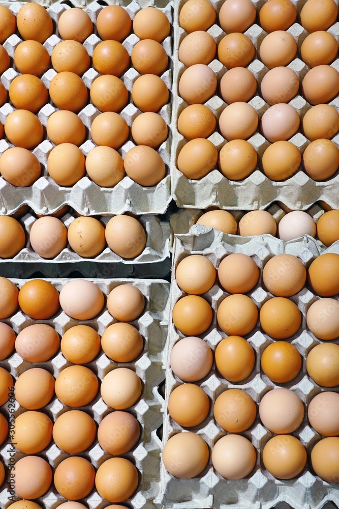 Cartons of fresh free-range brown organic eggs Cartons of fresh free-range brown organic eggs