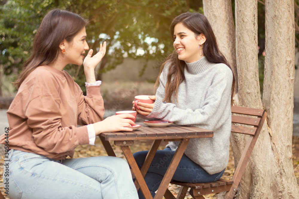 Two beautiful young women talking and enjoying on a sunny autumn day Two beautiful young women talking and enjoying on a sunny autumn day