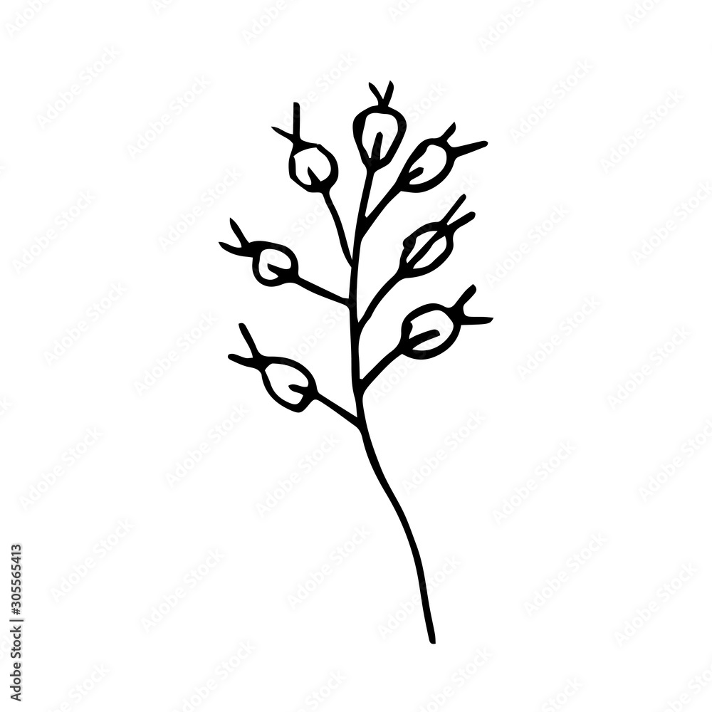 Single hearbal element for greeting cards, posters, stickers, wedding invitations and seasonal design. Hand drawn vector illustration. Single hearbal element for greeting cards, posters, stickers, wedding invitations and seasonal design. Hand drawn vector illustration.