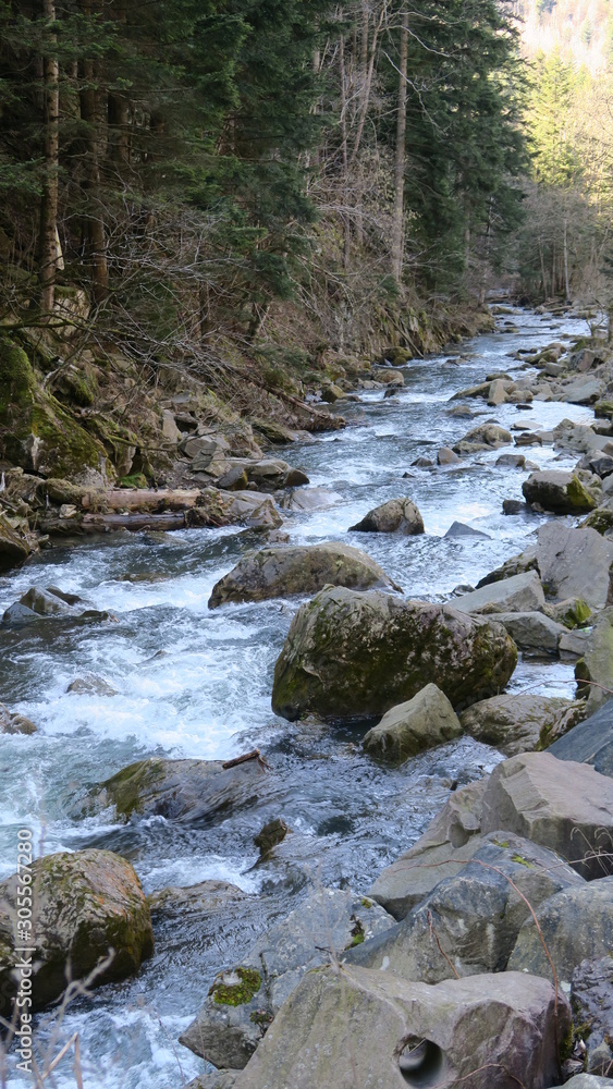 stormy river in the autumn landscape stormy river in the autumn landscape