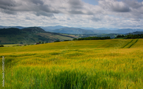 Wheat fields, scotland © Betty Rong