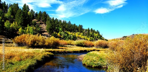 autumn landscape with river and trees