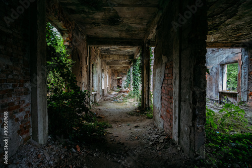 Ruined mansion corridor interior overgrown by plants. Nature and abandoned architecture  green post-apocalyptic concept
