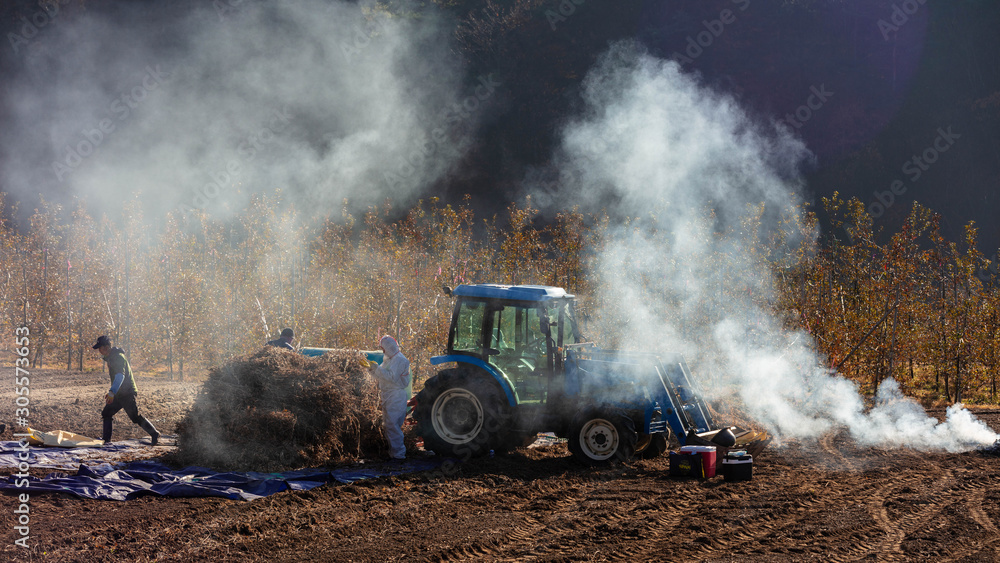 Fototapeta premium 바다