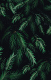 Wald Baum Hintergrund Forest Wallpaper Leaves Simply Minimalistic Design 