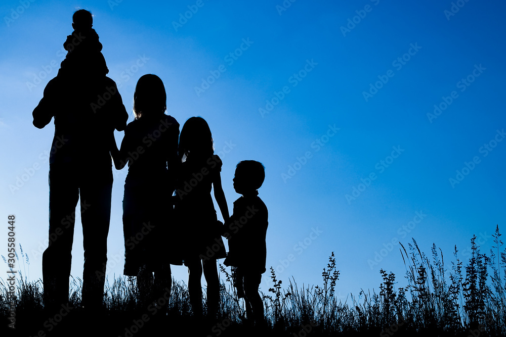 Fototapeta premium happy family outdoors in the park silhouette
