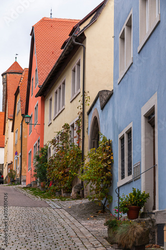 Typical historical German houses decorated with plants and flowe
