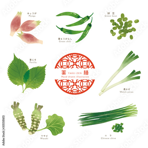 薬膳 / 漢方 / 食材イラスト