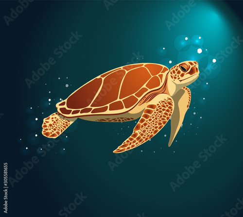 VECTOR OF A SEA TURTLE UNDERWATER WITH BUBBLES AND RAY OF LIGHT