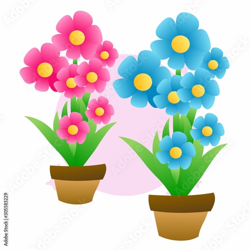 Illustration of Beautiful Pink and Blue Flower, Flat Design
