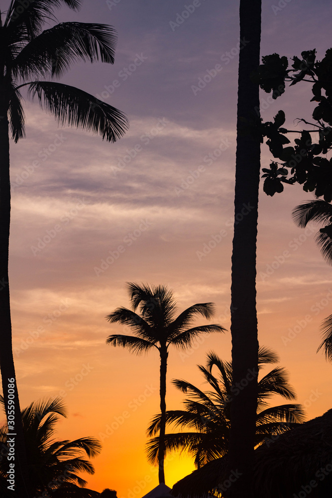 Obraz premium Sunset in Aruba
