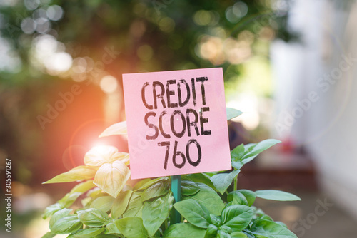 Text sign showing Credit Score 760. Business photo showcasing numerical expression based on level analysis of demonstrating Plain empty paper attached to a stick and placed in the green leafy plants
