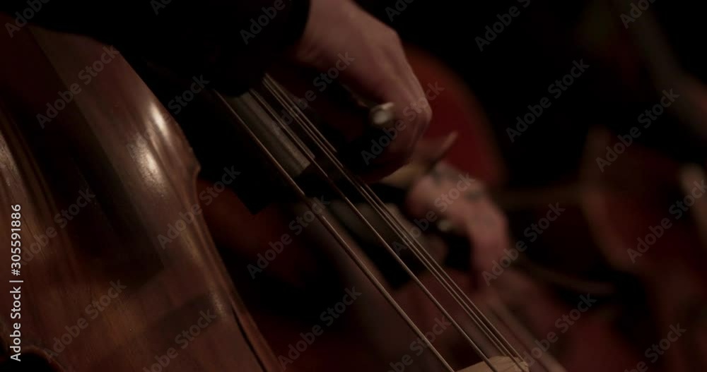 woman playing violin on black background woman playing violin on black background