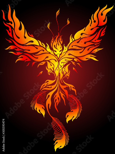 Pheonix Tattoo illustration
