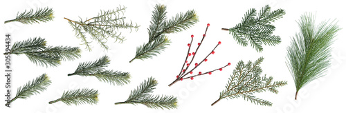 Slika na platnu Christmas fir branches and berry set isolated on white background, element for decoration of christmas
