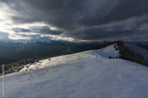 Fogs and clouds in winter Ukrainian Carpathians with snow-covered trees and mountain peaks © reme80