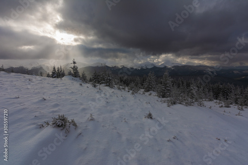 Fogs and clouds in winter Ukrainian Carpathians with snow-covered trees and mountain peaks