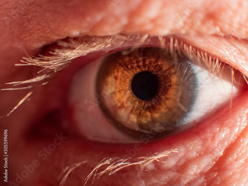 Eye macro detail, human eye close-up, macro shot, eyelashes, pupil. man 60 years old senior