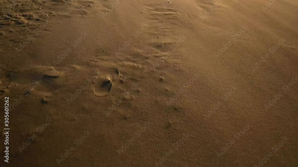 Wind blowing sand across beach at sunrise lighting. POV person walk in sand. Wind blowing sand across beach at sunrise lighting. POV person walk in sand.